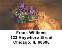 Potted Pansies Address Labels