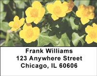 Marsh Marigolds Address Labels