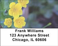 Marsh Marigolds Address Labels
