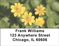Marsh Marigolds Address Labels