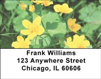 Marsh Marigolds Address Labels