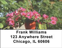 Potted Petunias Address Labels