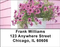 Potted Petunias Address Labels