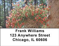Potted Petunias Address Labels