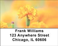 Intricate Marigolds Address Labels