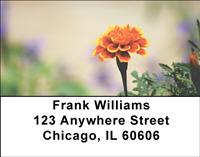 Intricate Marigolds Address Labels