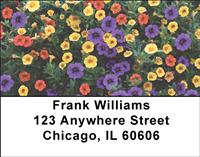 Petunias Address Labels