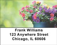 Petunias Address Labels