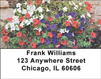 Petunias Address Labels