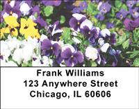 Petunias Address Labels