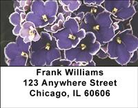 African Violets Address Labels
