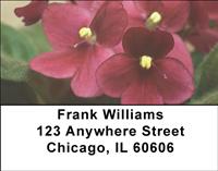 Pretty African Violets Address Labels