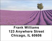 Lavender Fields of Provence Address Labels