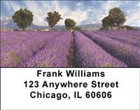 Lavender Fields of Provence Address Labels
