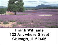 Lavender Fields of Provence Address Labels