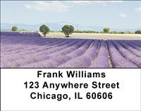 Lavender Fields of Provence Address Labels
