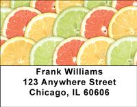 Fruit Slices Address Labels