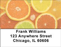 Fruit Slices Address Labels