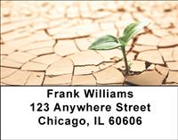 Save Our Planet Address Labels
