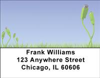 Green Technology Address Labels