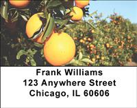 Sunshine State Address Labels