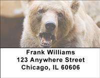Bears Address Labels