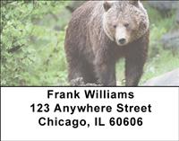 Bears Address Labels