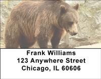 Bears Address Labels