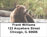 Bears Address Labels