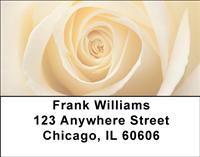 Roses Address Labels