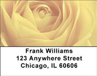 Roses Address Labels