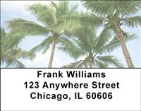 Palm Trees Address Labels