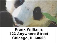 Pandas Address Labels