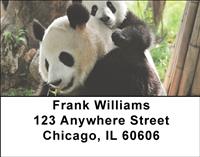 Pandas Address Labels