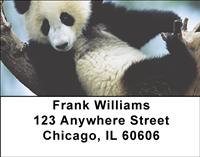 Pandas Address Labels