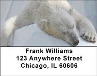 Polar Bears Address Labels