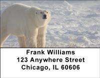 Polar Bears Address Labels