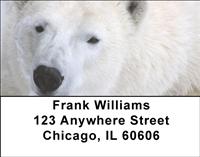 Polar Bears Address Labels