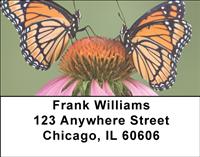Beautiful Butterflies Address Labels