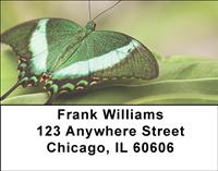 Beautiful Butterflies Address Labels