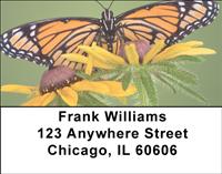 Beautiful Butterflies Address Labels