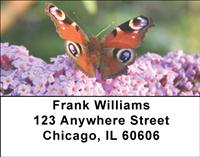 Beautiful Butterflies Address Labels