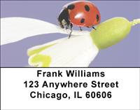 Ladybugs Address Labels