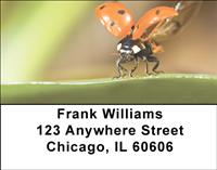 Ladybugs Address Labels