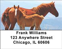 Horses Address Labels