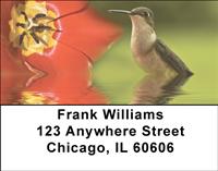 Hummingbirds Address Labels
