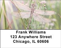 Dragonflies Address Labels