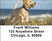 Cute Puppies Address Labels