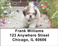 Cute Puppies Address Labels