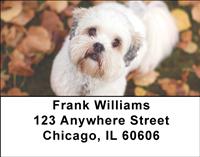 Cute Puppies Address Labels